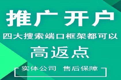 揭秘SEM服务托管助力企业增长案例